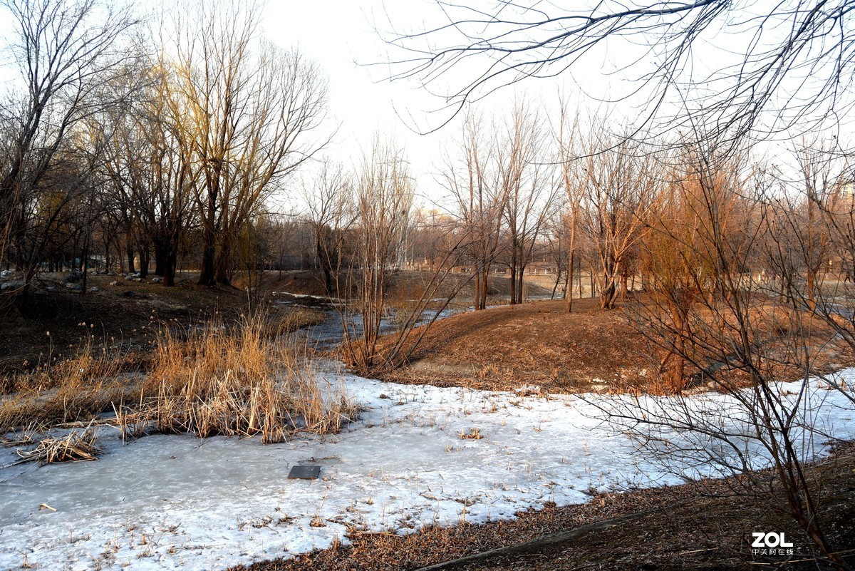 2020-2-23   疫情中的北京奥森公园----------------------------。