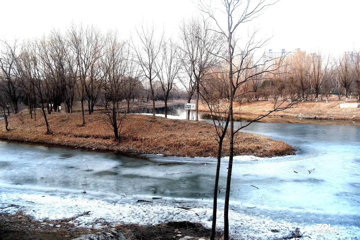 2020-2-23   疫情中的北京奥森公园----------------------------。