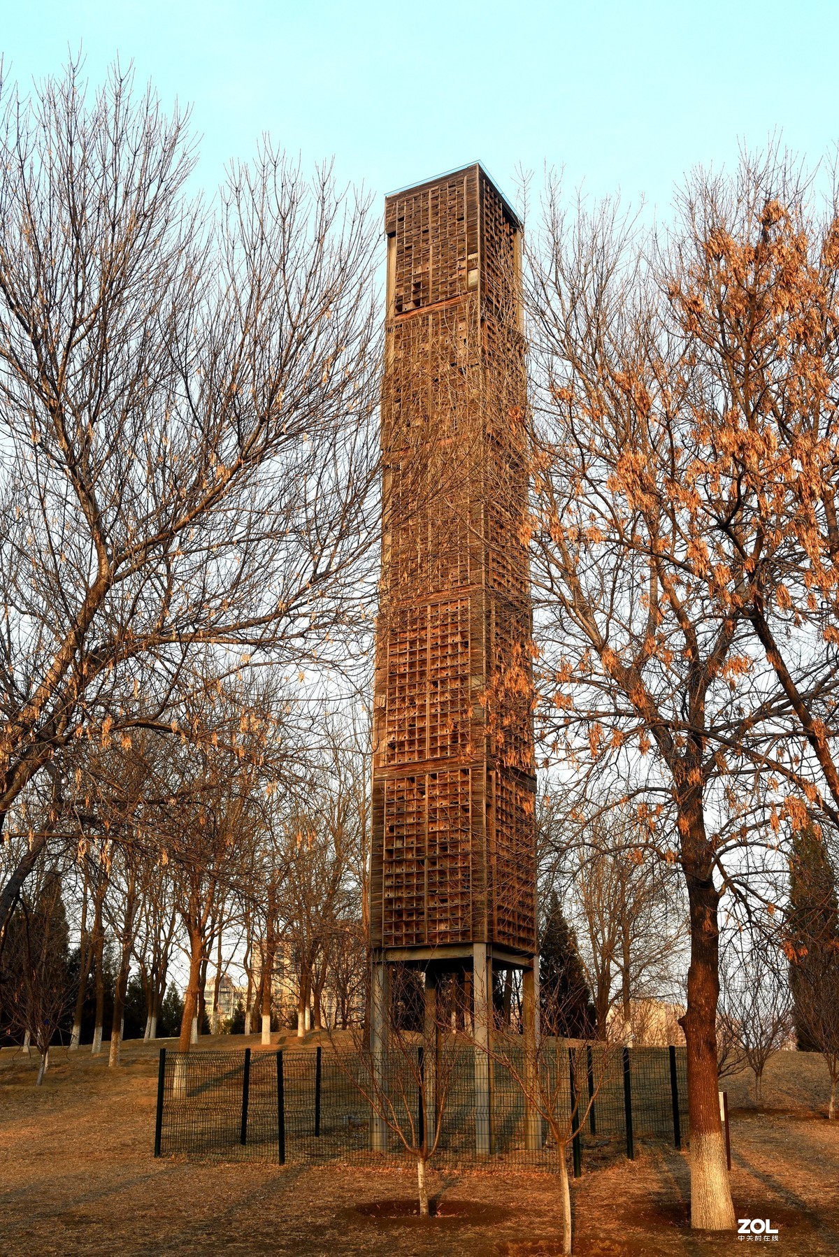 2020-2-23   疫情中的北京奥森公园----------------------------。