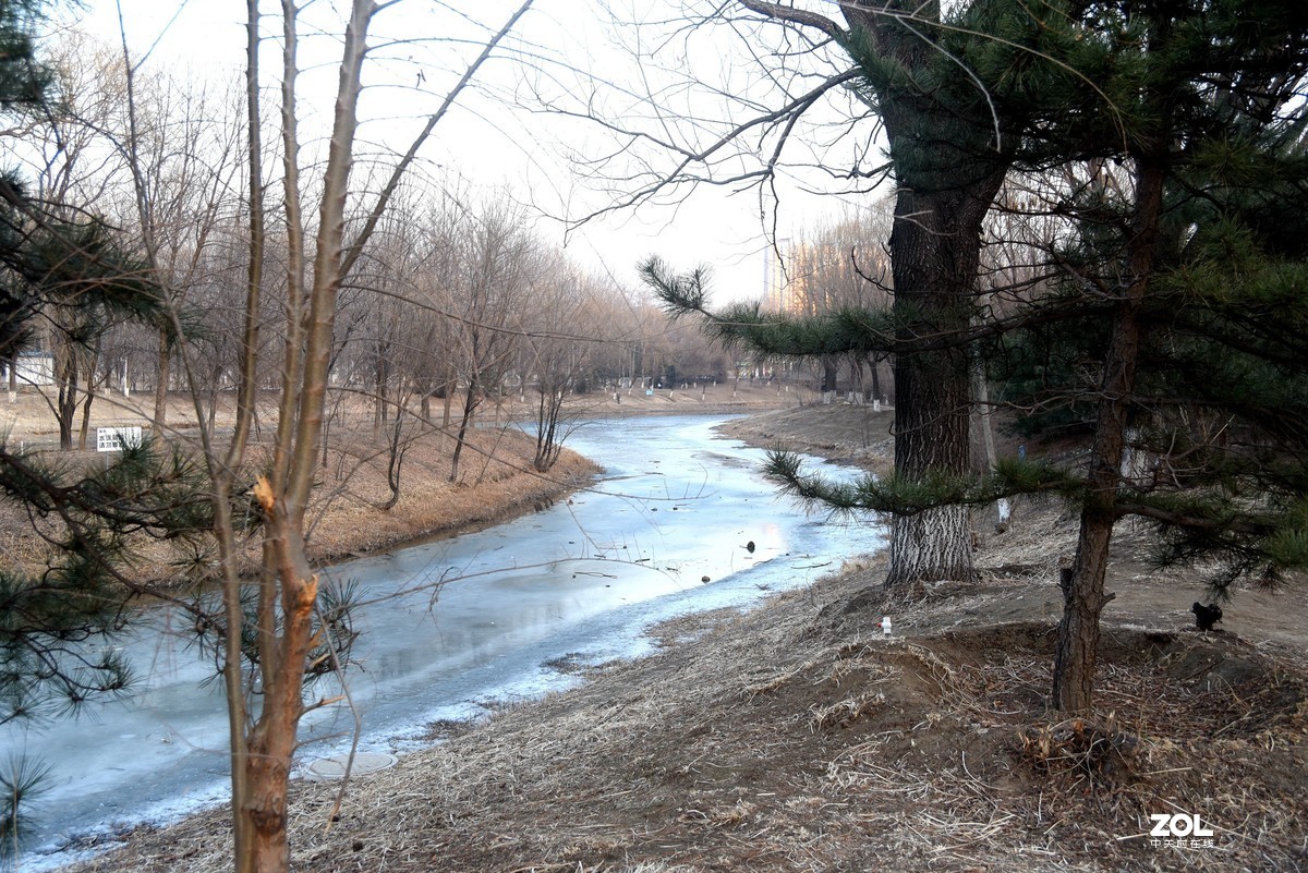 2020-2-23   疫情中的北京奥森公园----------------------------。