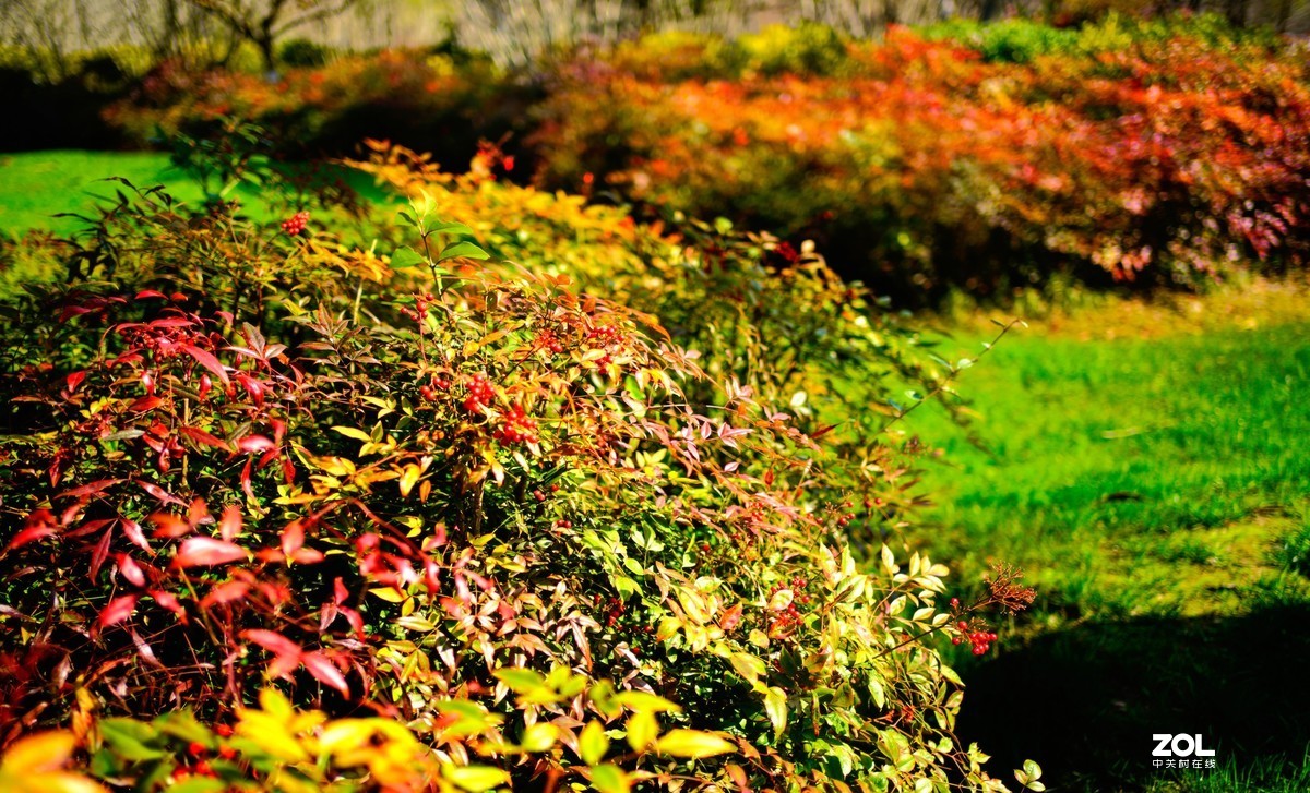 花开时节与谁来