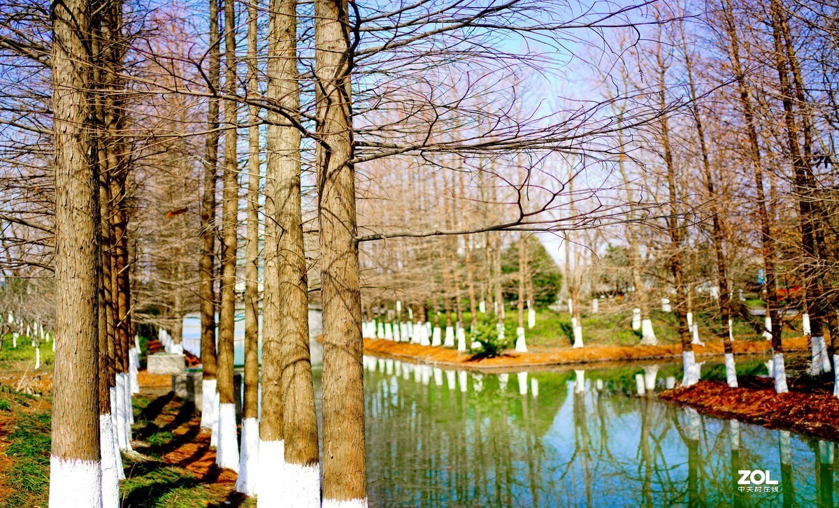 花开时节与谁来