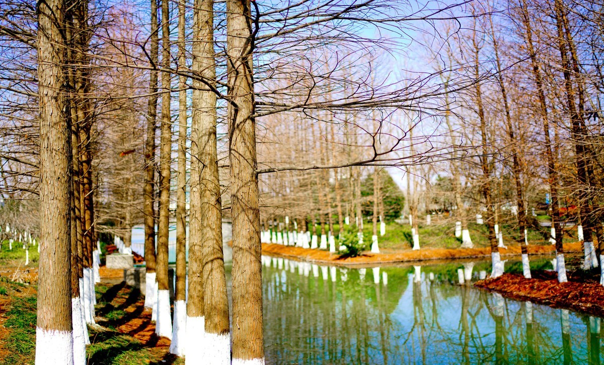 花开时节与谁来