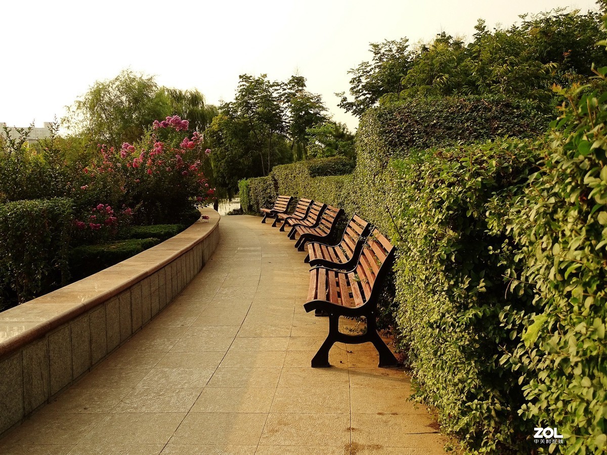 走走拍拍（2019.07.28-2）