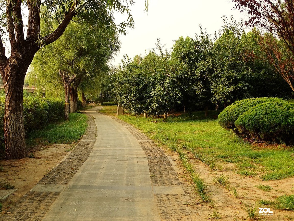 走走拍拍（2019.07.28-2）