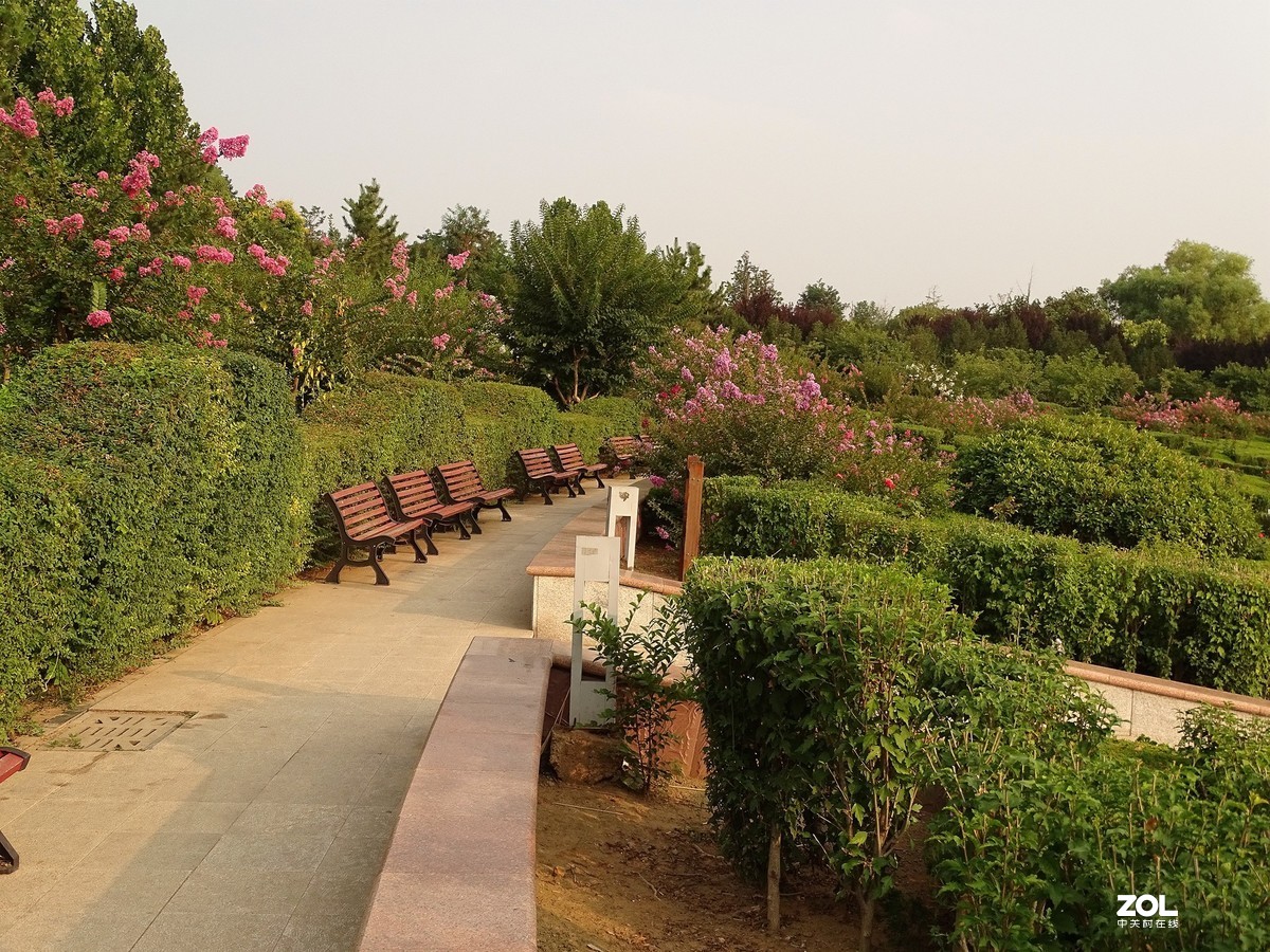 走走拍拍（2019.07.28-2）