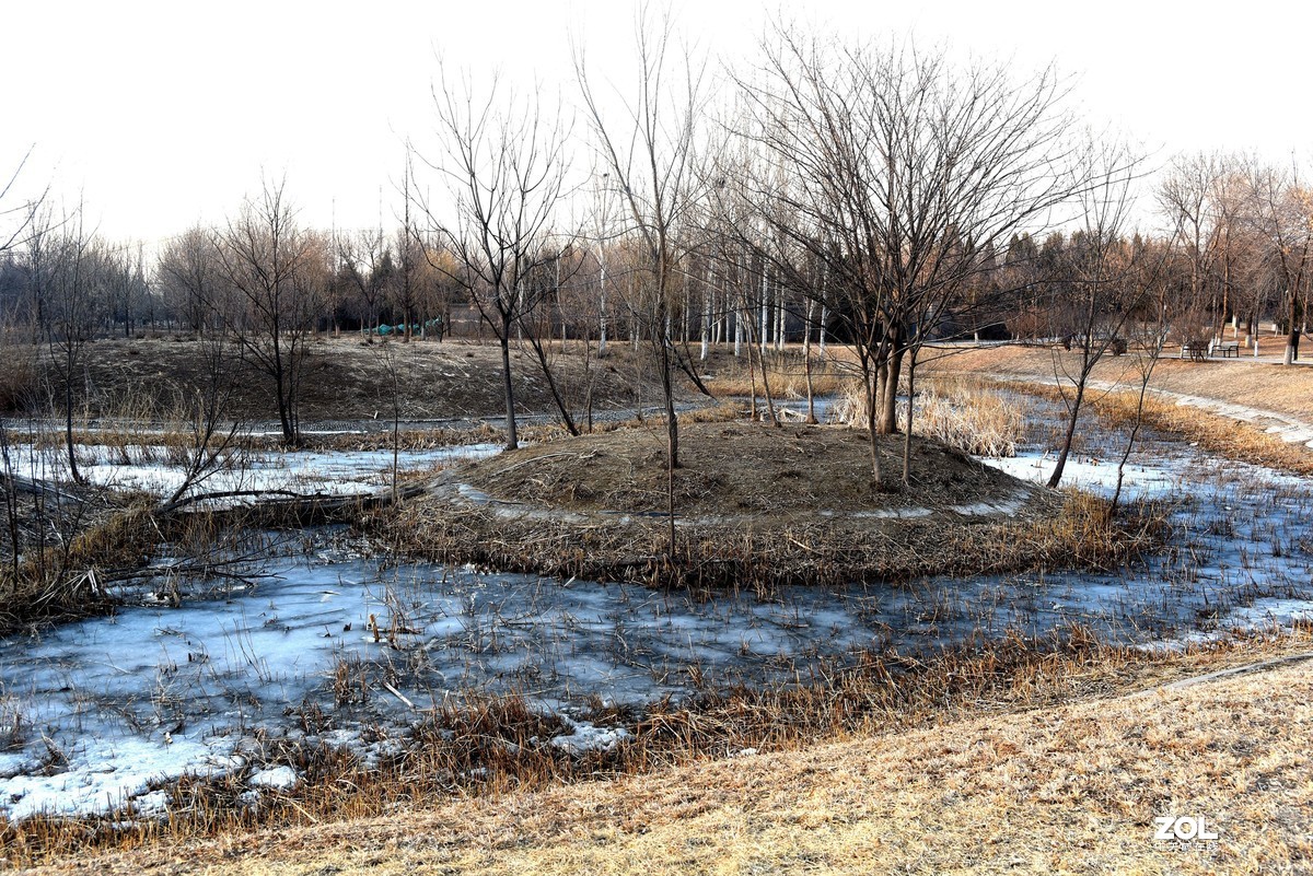 2020-2-23   疫情中的北京奥森公园----------------------------。