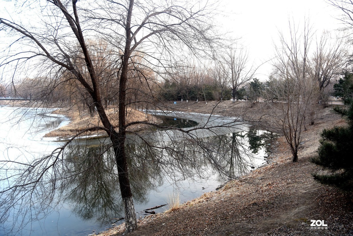 2020-2-23   疫情中的北京奥森公园----------------------------。