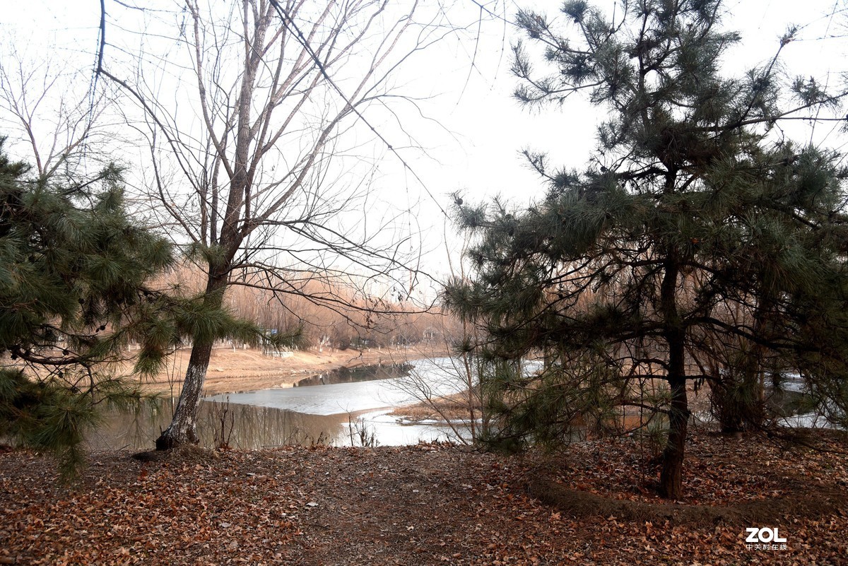 2020-2-23   疫情中的北京奥森公园----------------------------。