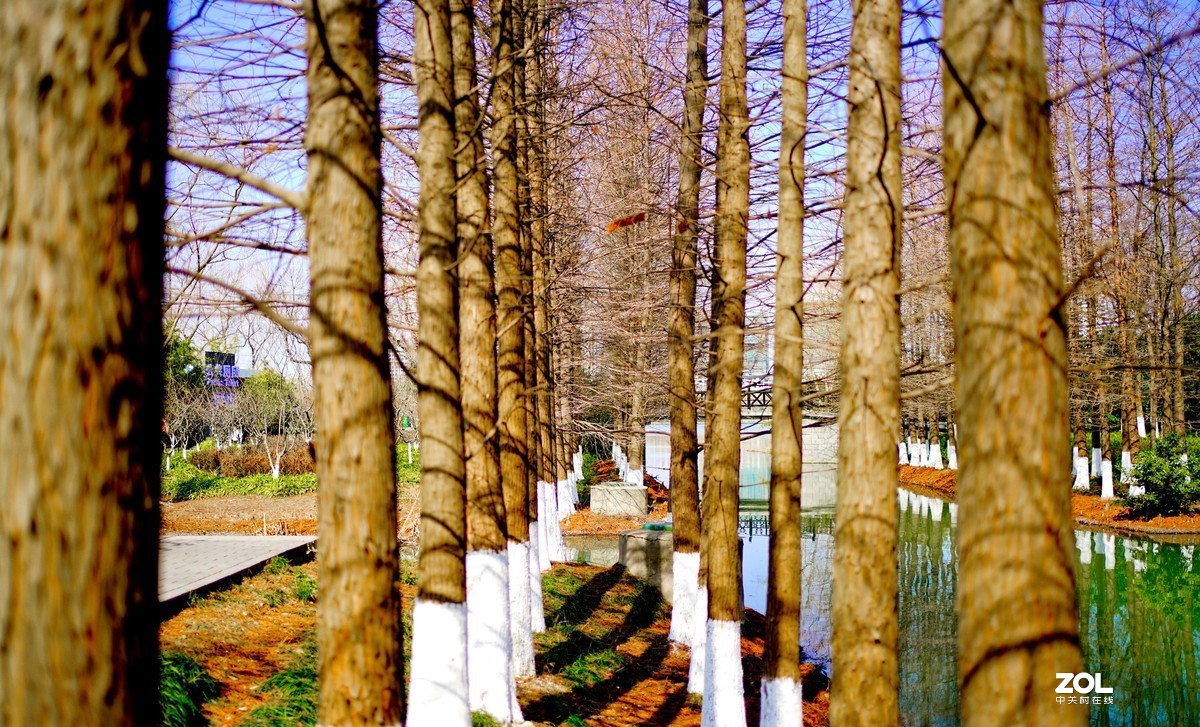 花开时节与谁来