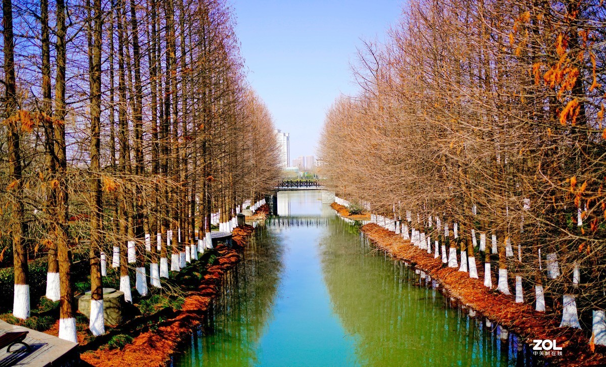 花开时节与谁来