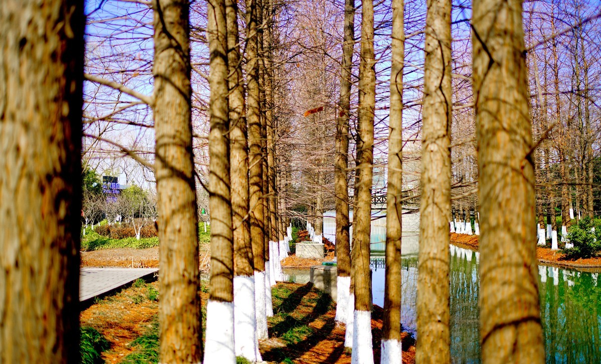 花开时节与谁来