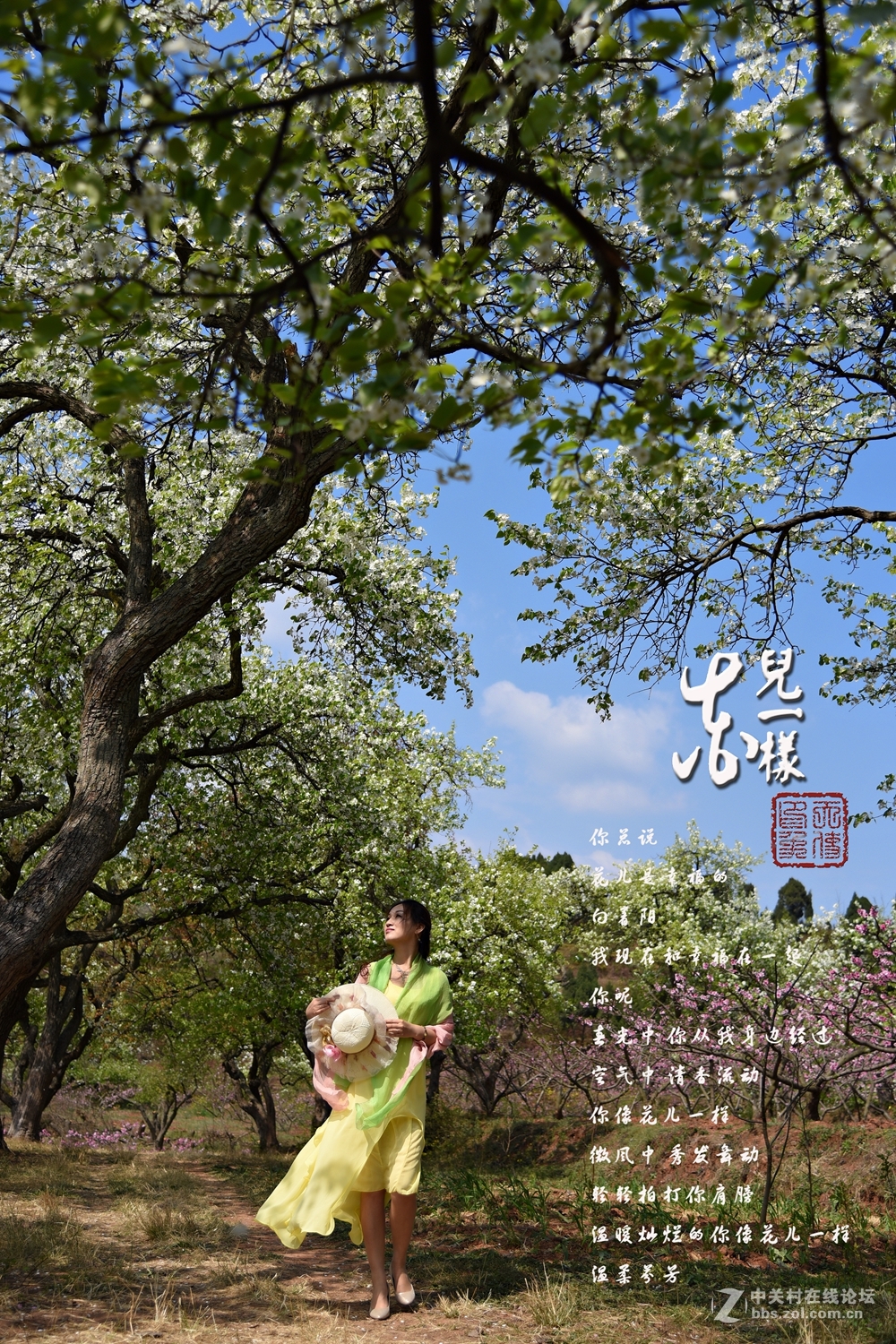 花儿一样
