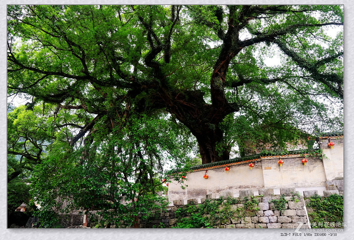 黄姚古镇风景之二