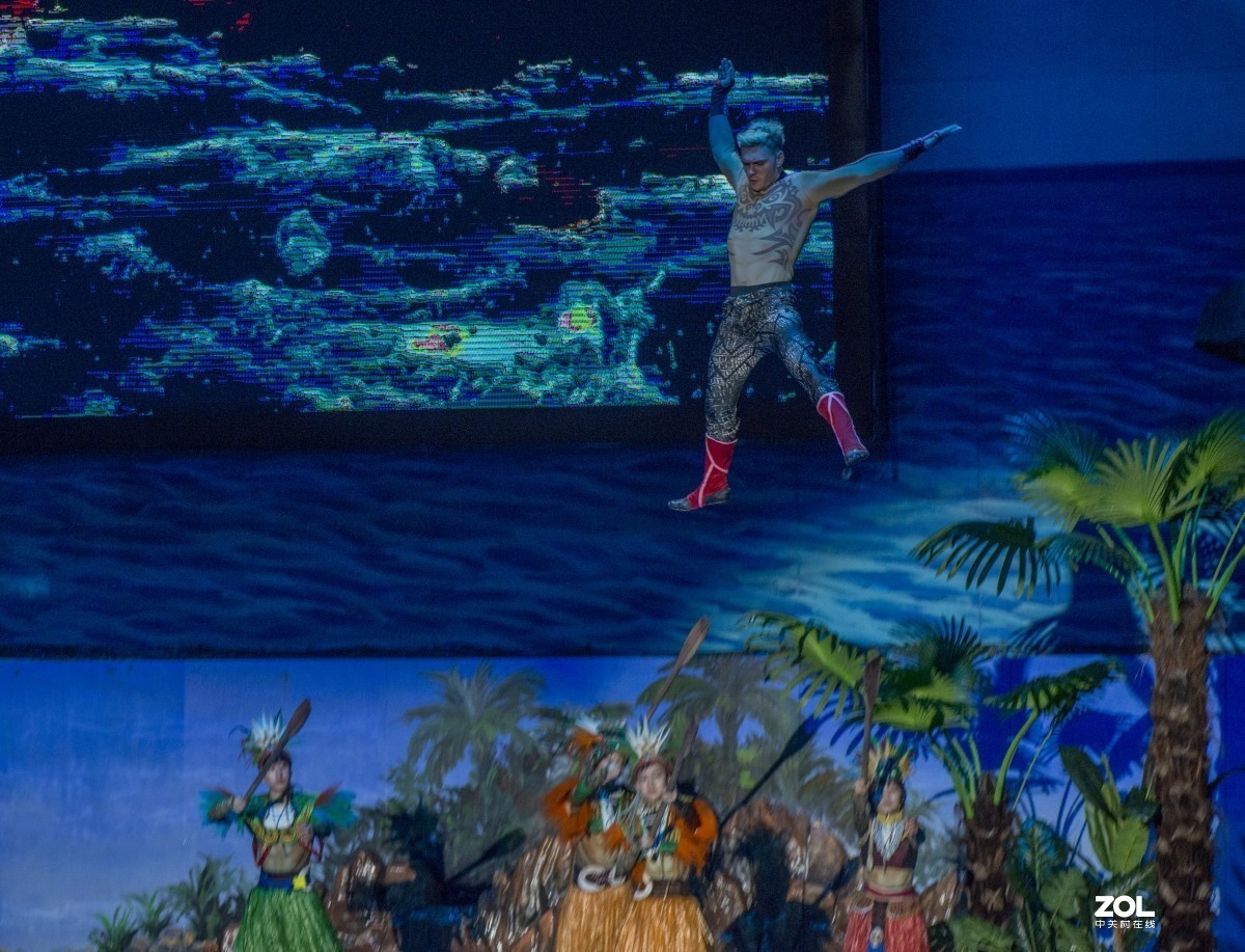 大连老虎滩海洋公园（馆内表演和海洋生物）