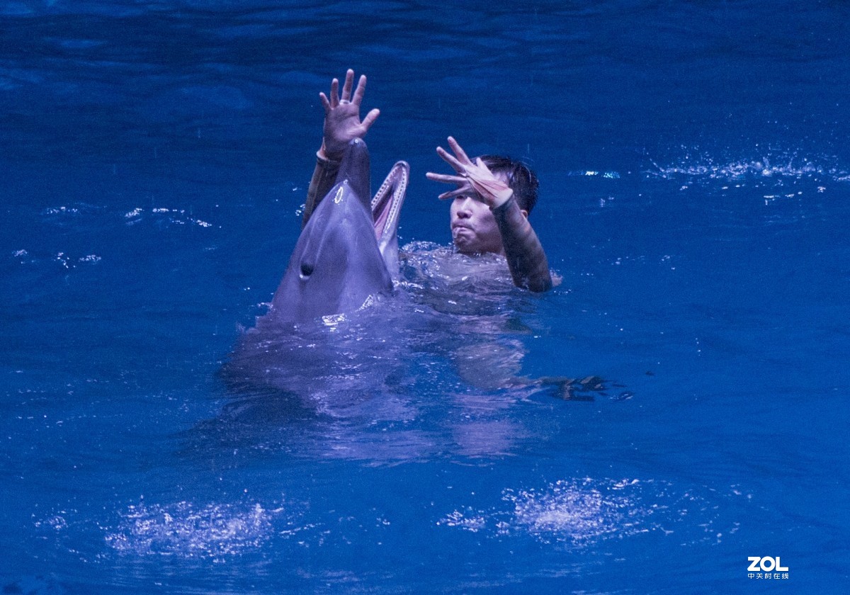 大连老虎滩海洋公园（馆内表演和海洋生物）