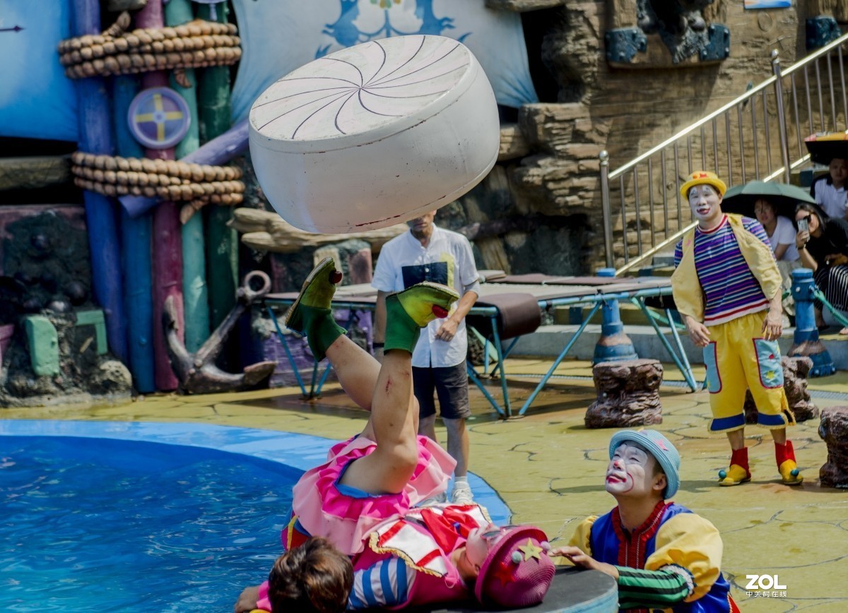 大连老虎滩海洋公园（馆内表演和海洋生物）