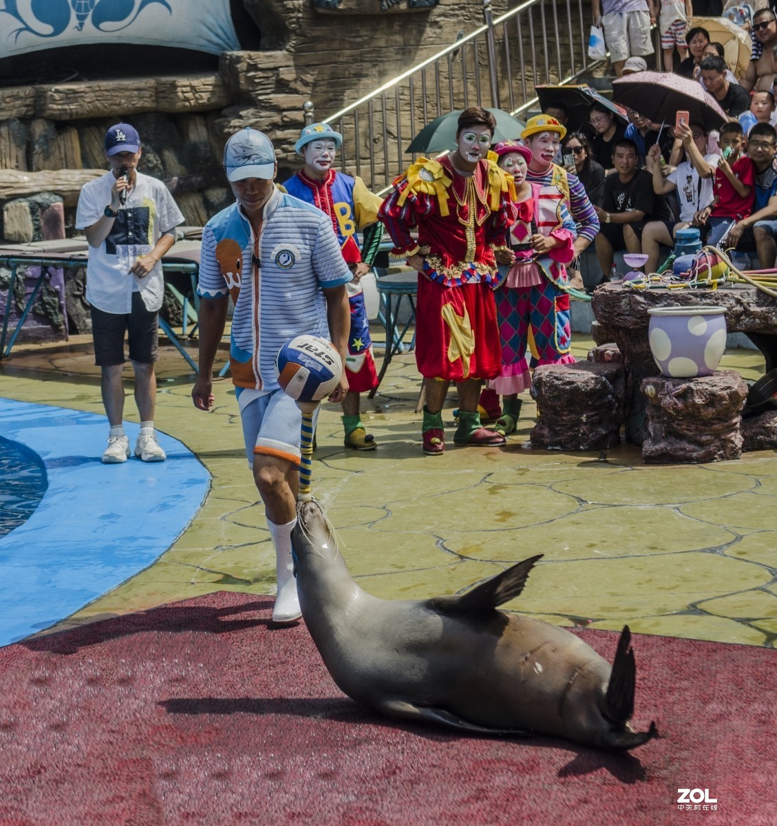 大连老虎滩海洋公园（馆内表演和海洋生物）