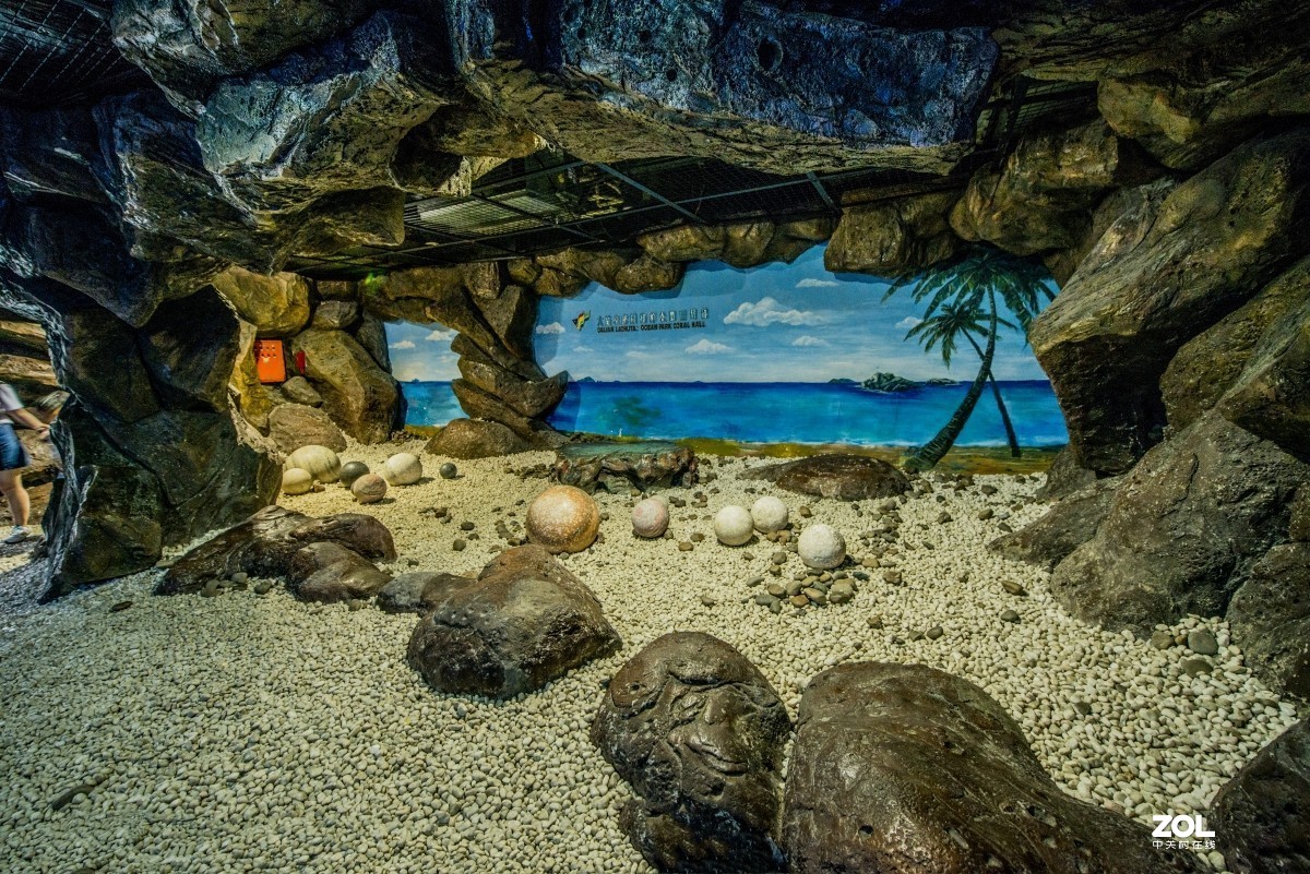 大连老虎滩海洋公园（馆内表演和海洋生物）