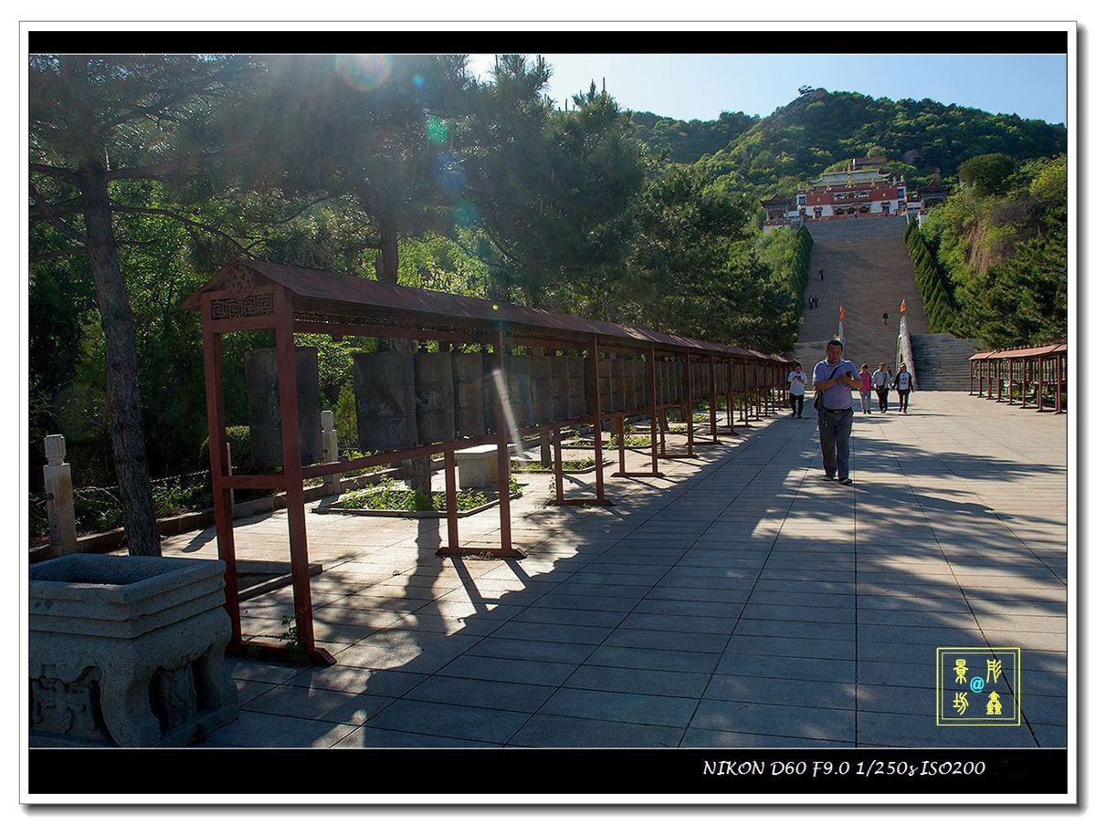 上山路上看风景