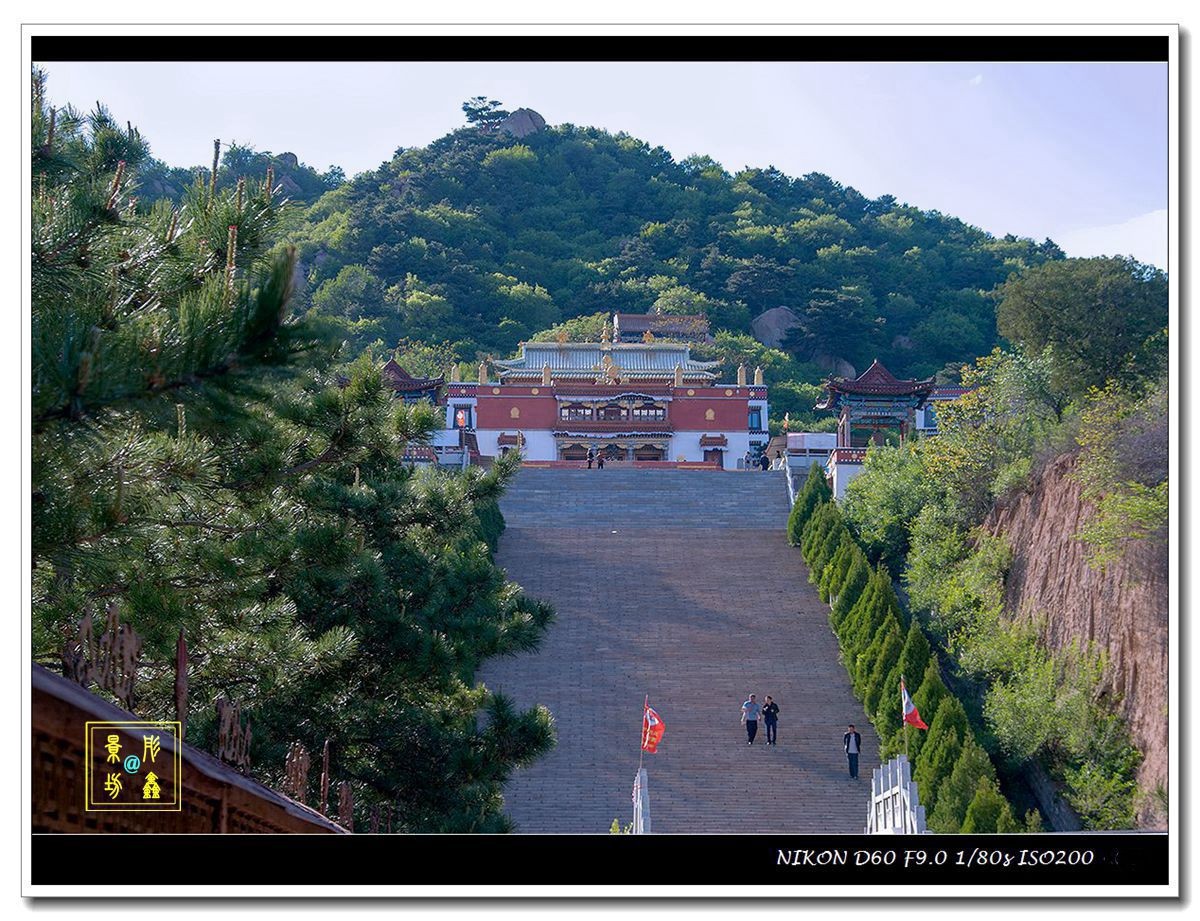 上山路上看风景