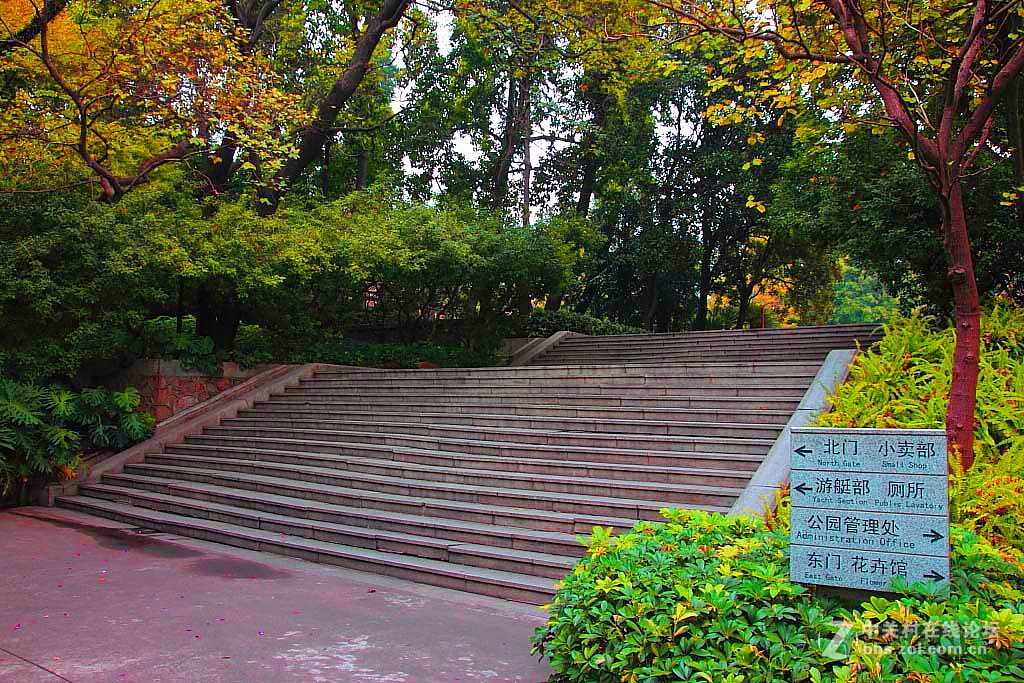 慢步公园
