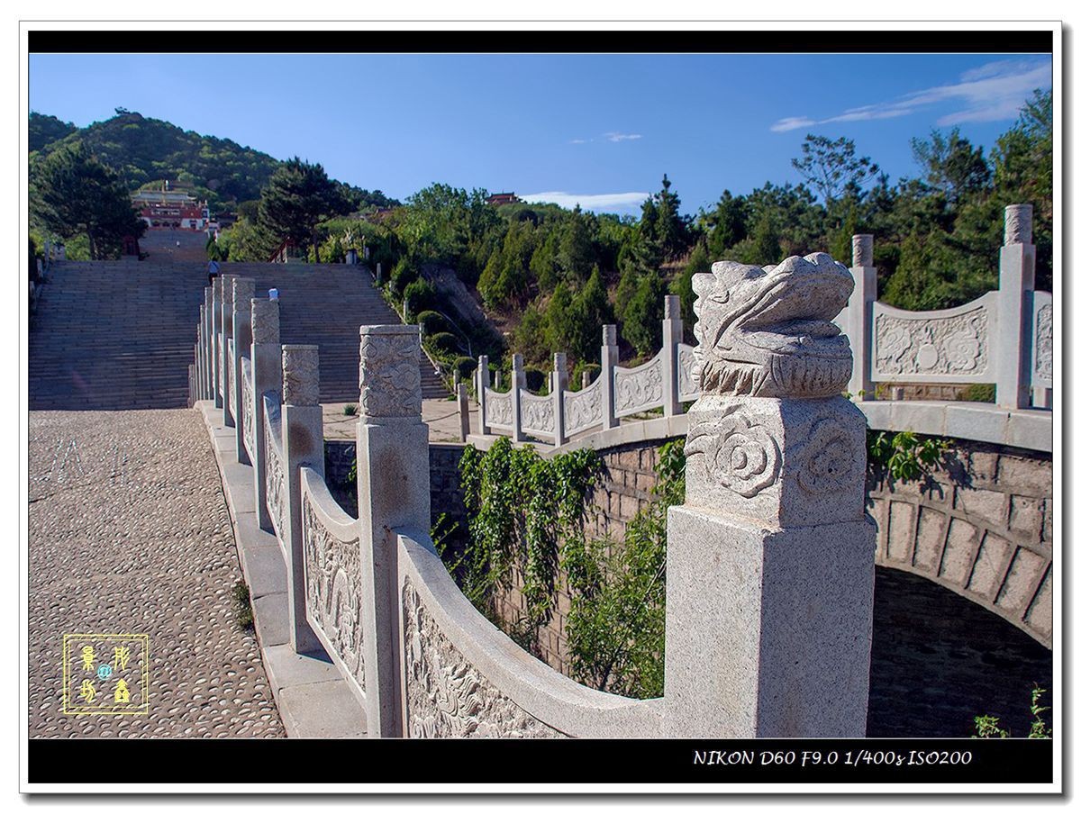 上山路上看风景