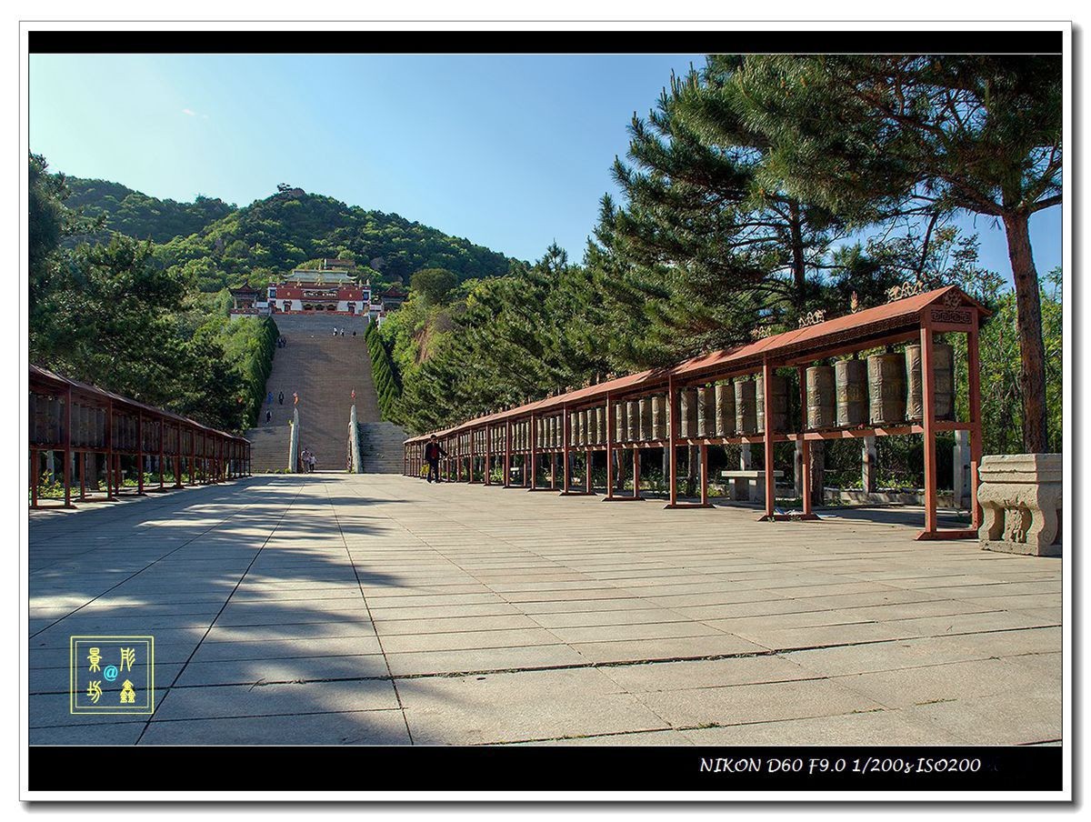 上山路上看风景