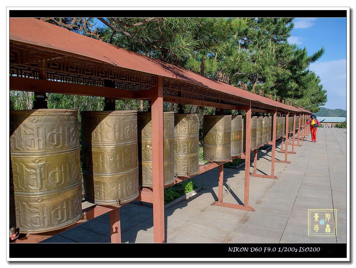 上山路上看风景