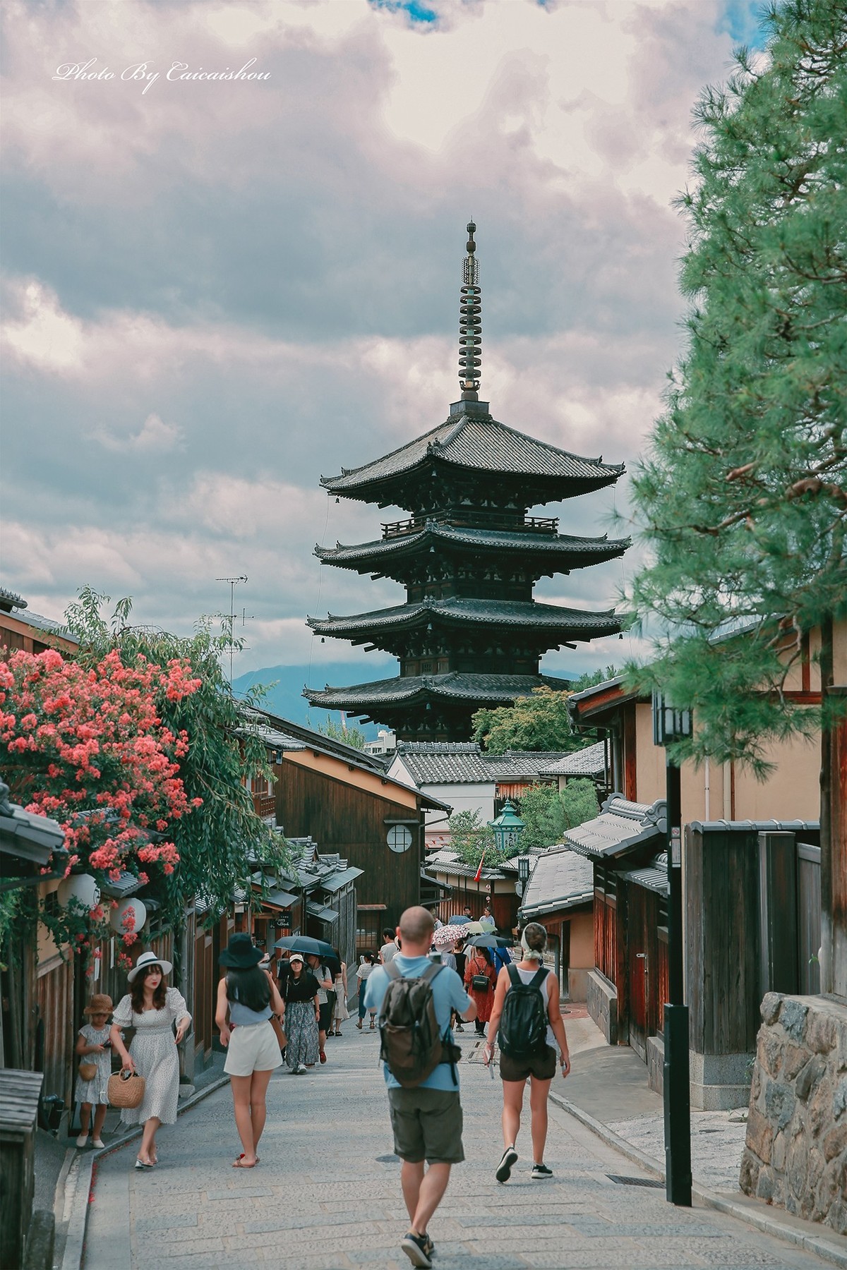 【菜々手摄影】日本（四）京都随处可见的神社