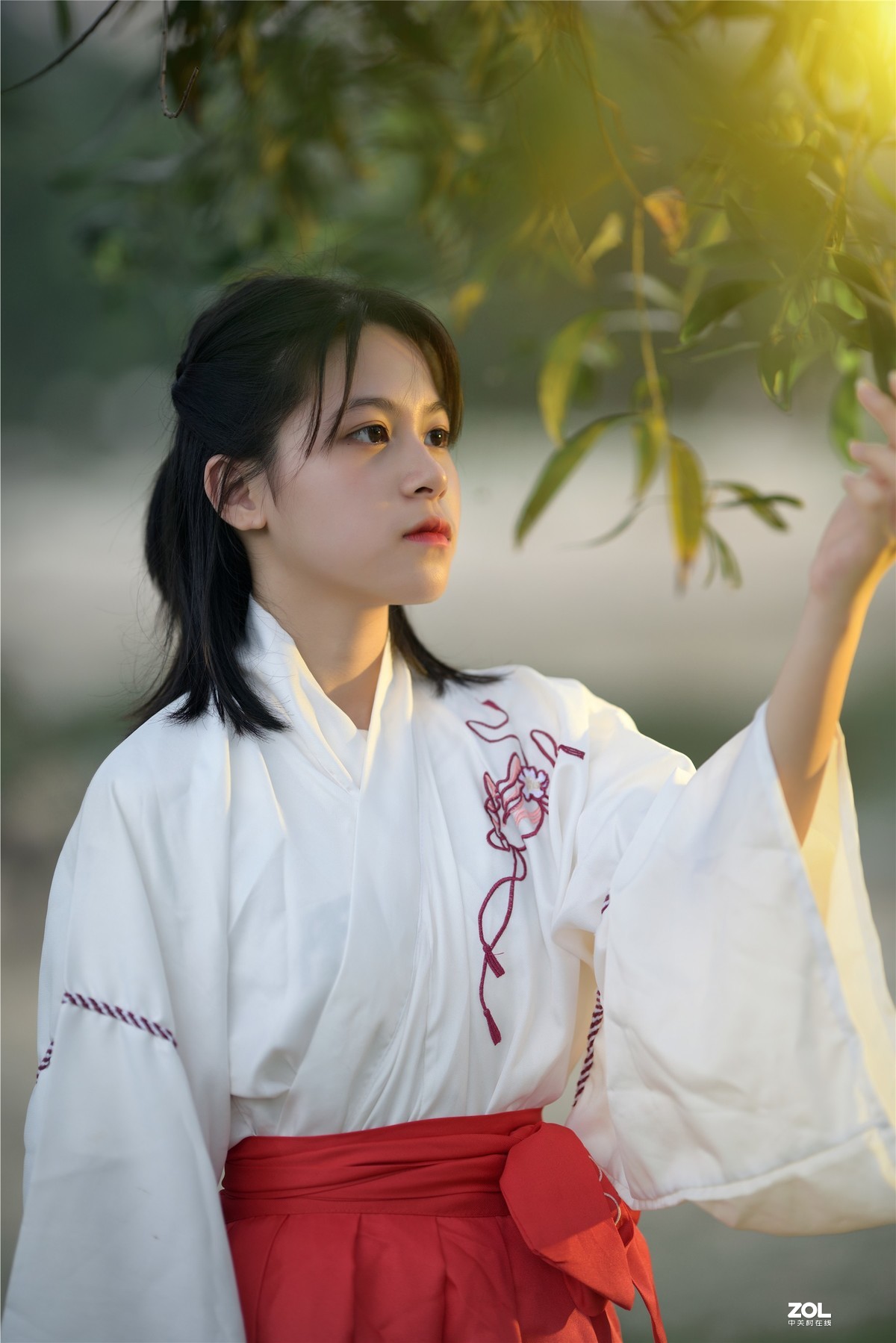 云想衣裳花想容，春风拂槛露华浓