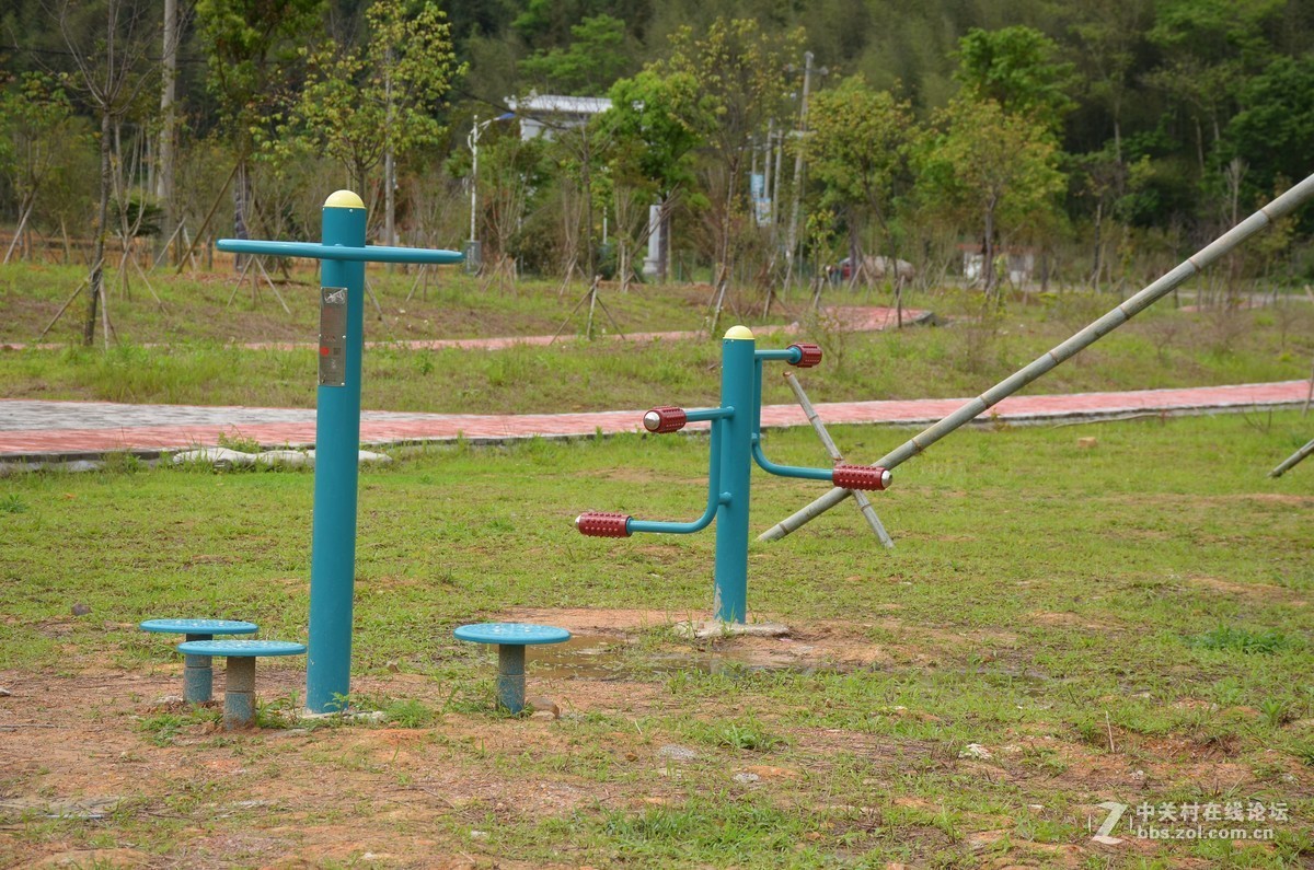 湿地公园的花和运动器械