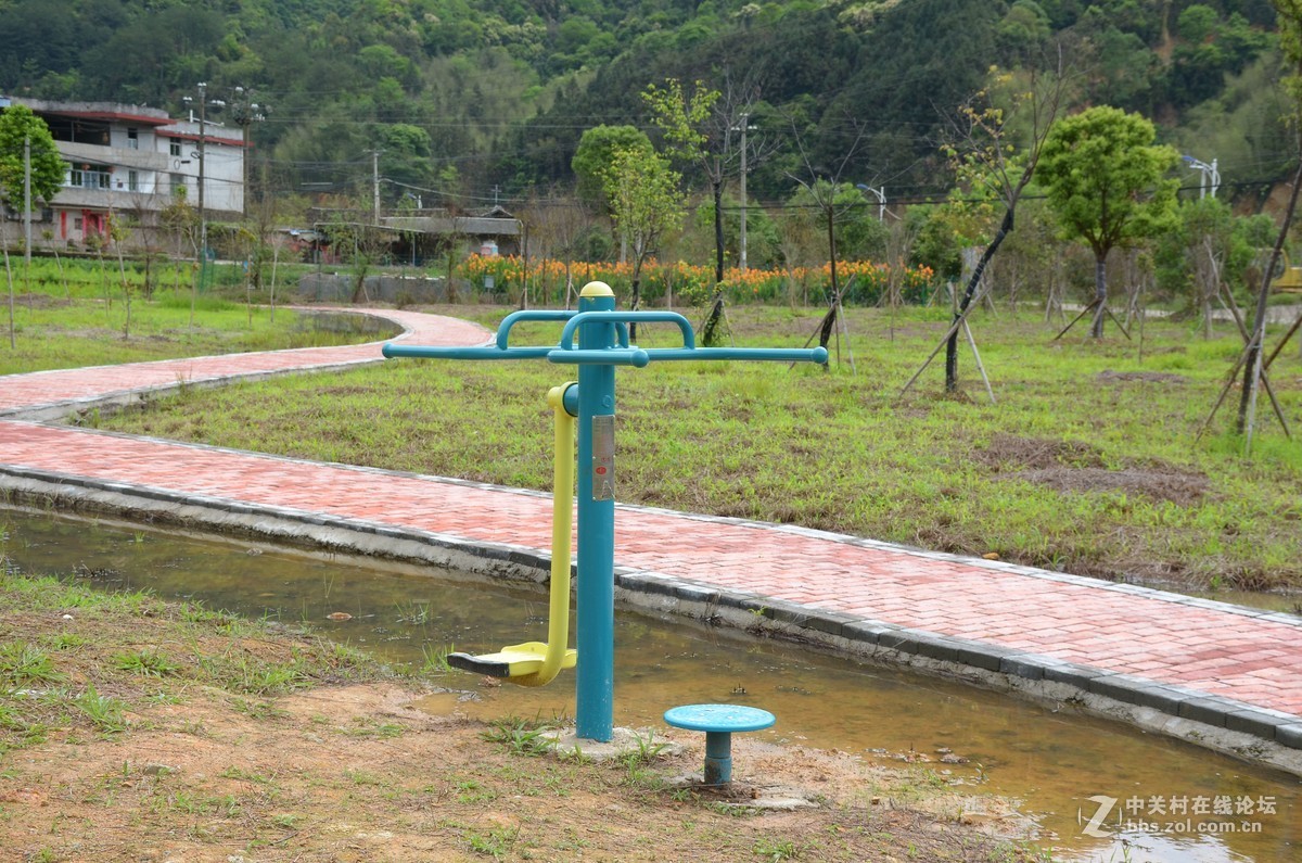 湿地公园的花和运动器械