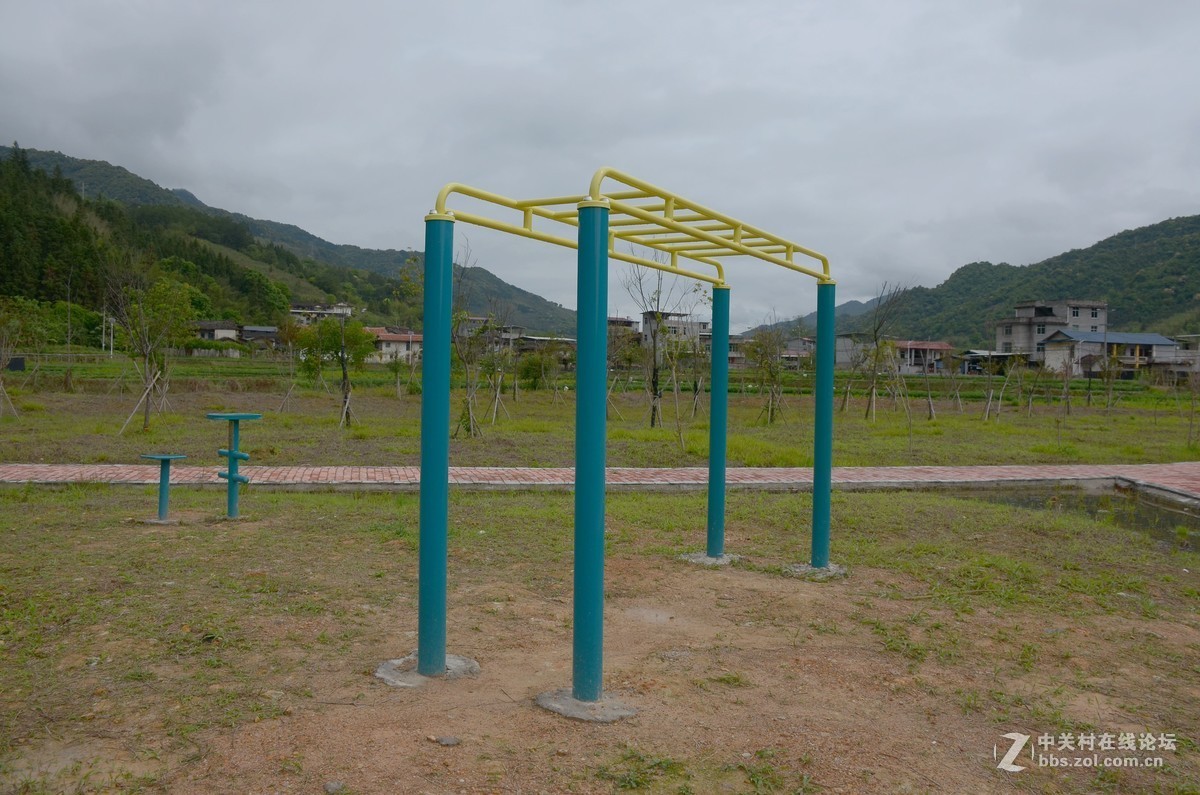 湿地公园的花和运动器械