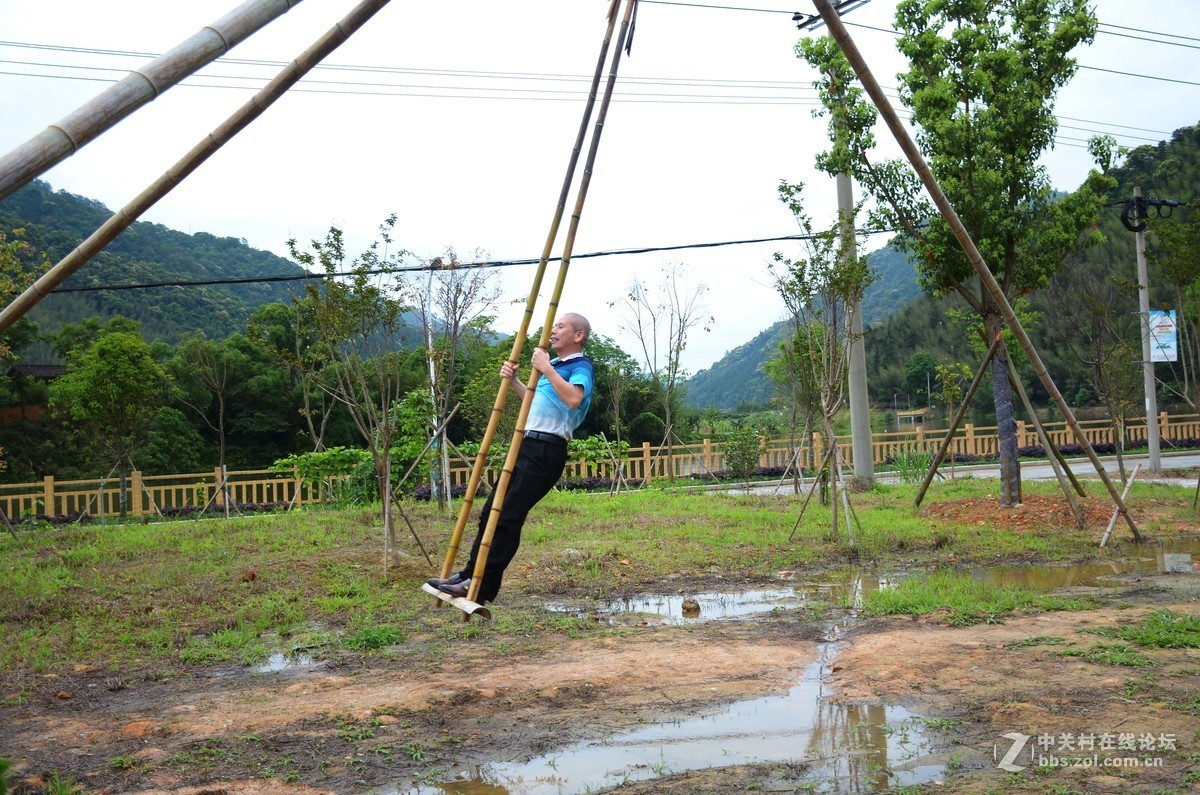 湿地公园的花和运动器械