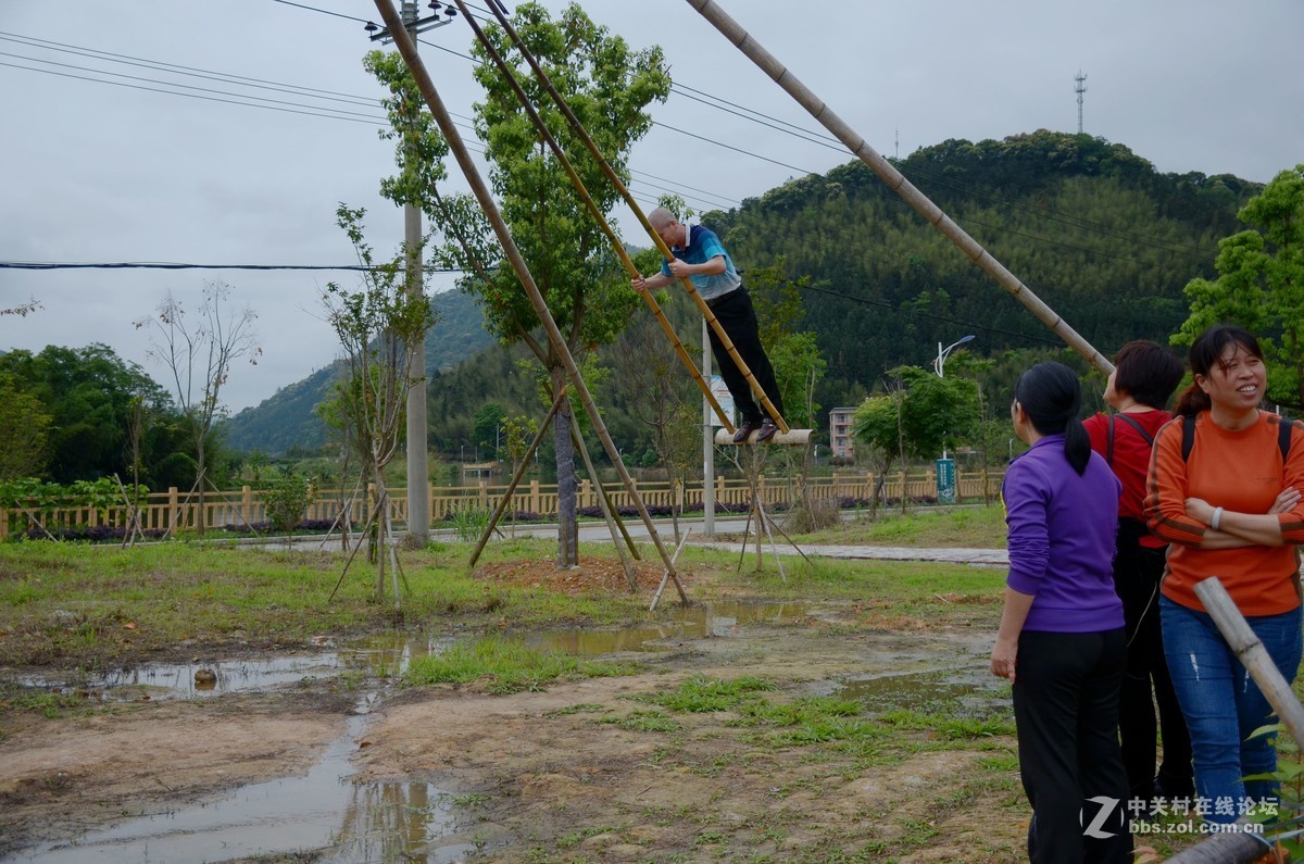 湿地公园的花和运动器械