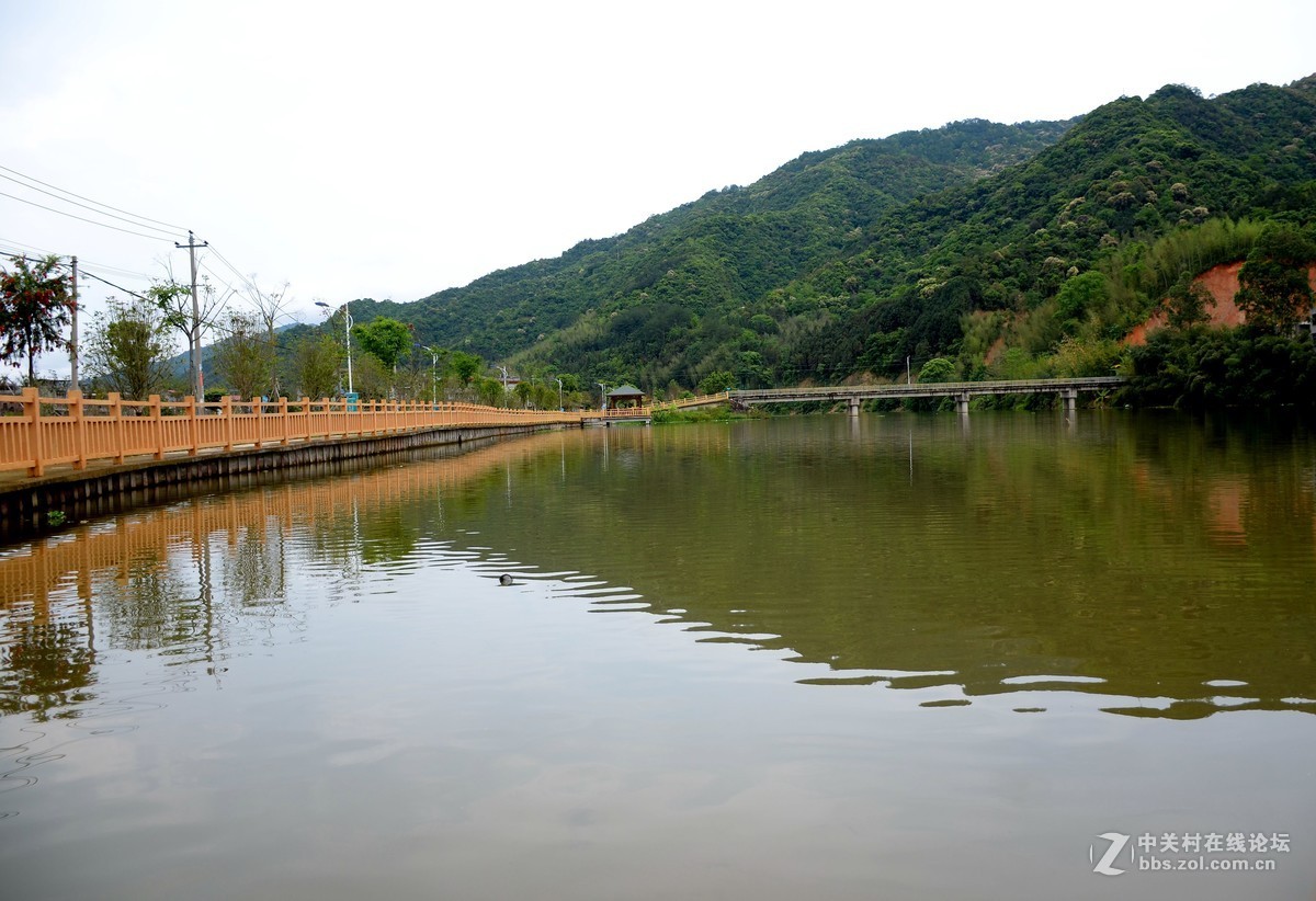 湿地公园的花和运动器械