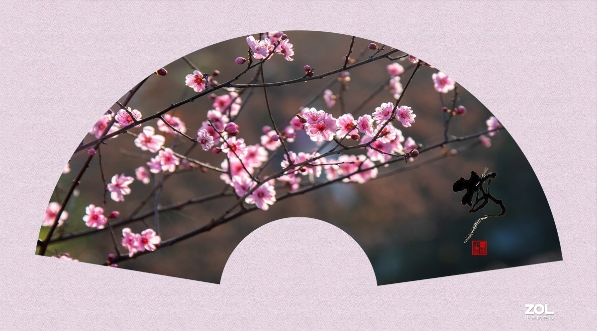 ◆◆◆◆◆天下争春梅先知◆◆◆◆◆