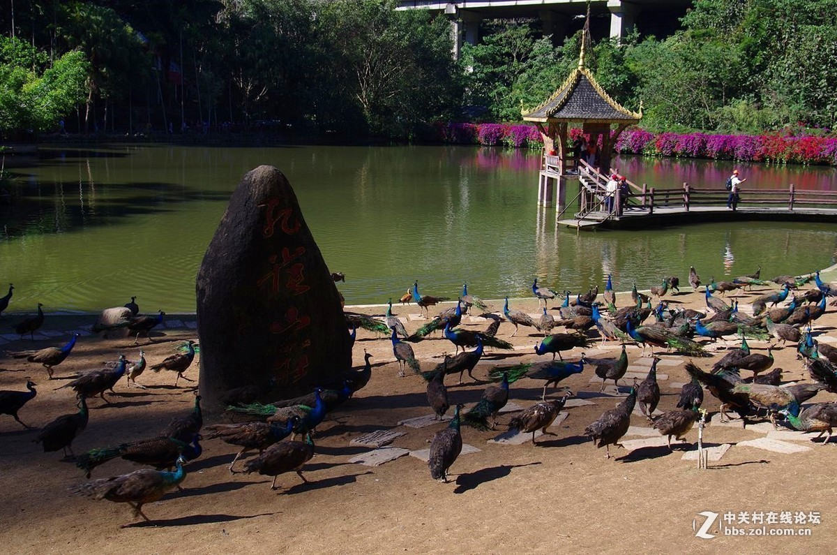 # 版主坐堂# 【人文纪实星空(中国)】2019年二月部分优秀作品汇总