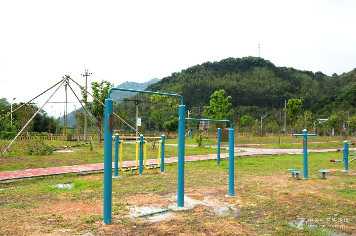 湿地公园的花和运动器械