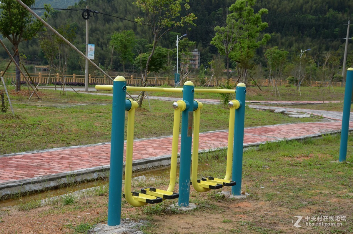 湿地公园的花和运动器械