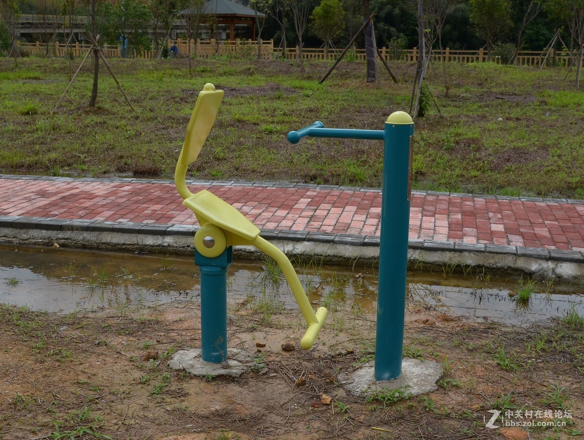 湿地公园的花和运动器械