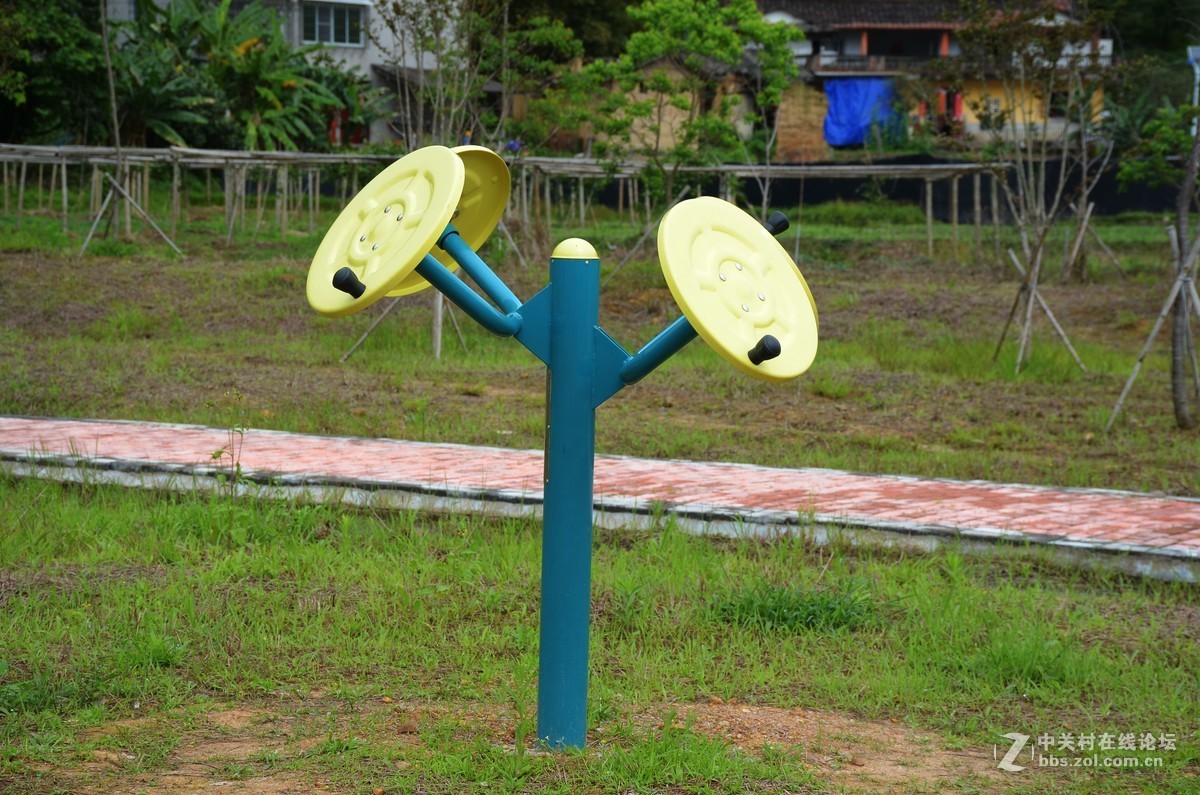 湿地公园的花和运动器械