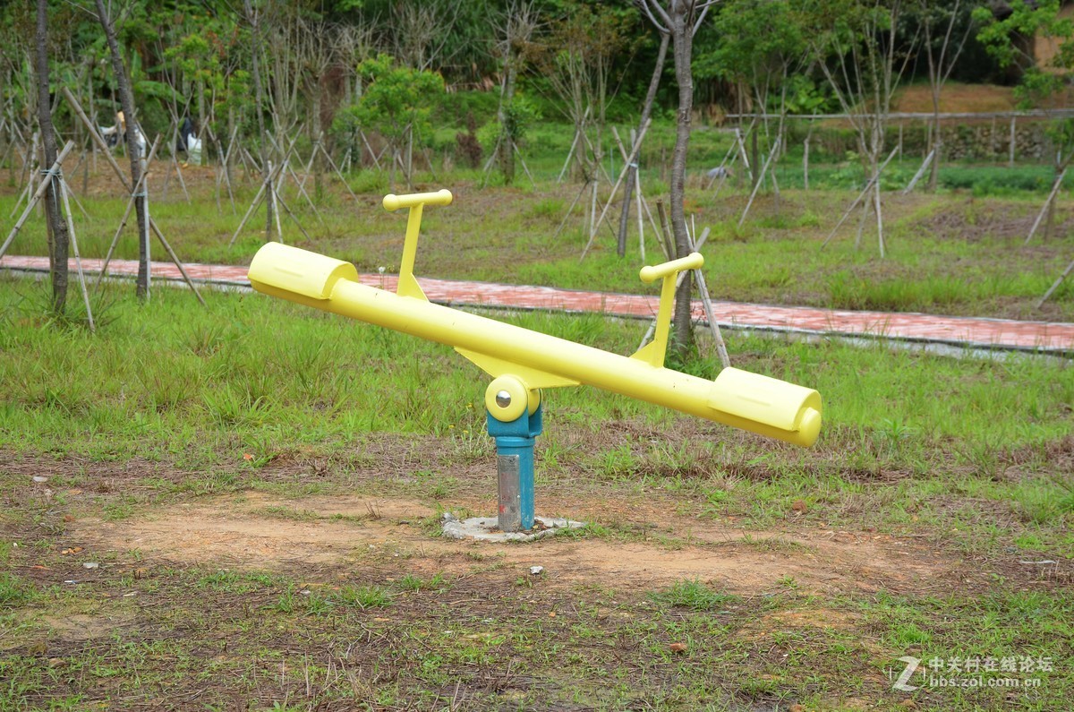 湿地公园的花和运动器械