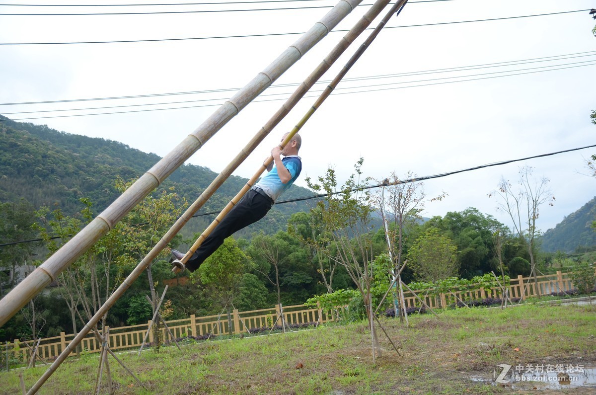 湿地公园的花和运动器械
