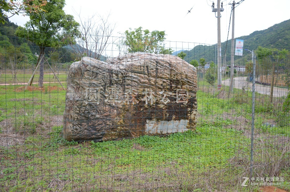 湿地公园的花和运动器械