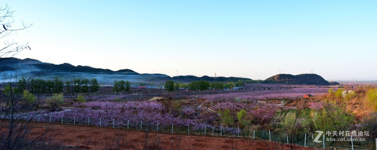 平谷“小景山”山看——桃花海