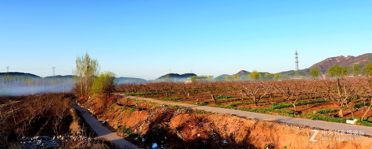 平谷“小景山”山看——桃花海