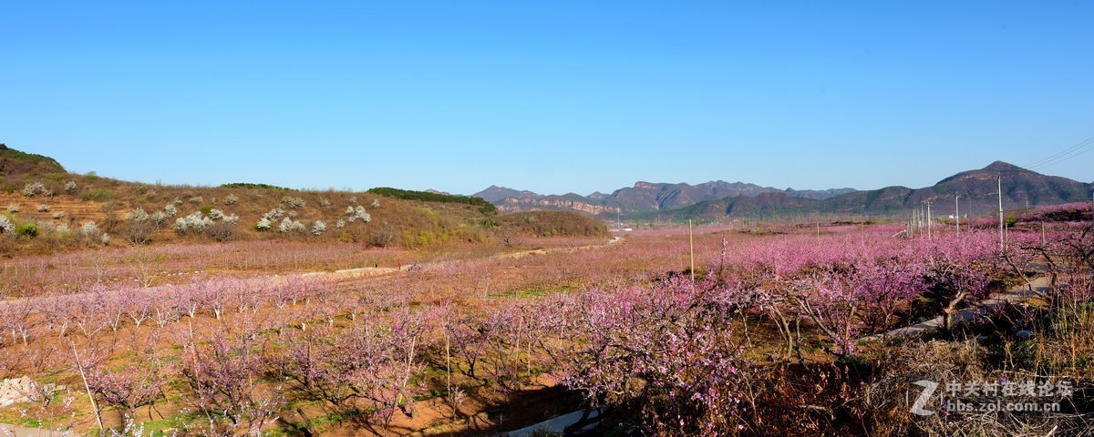 平谷“小景山”山看——桃花海