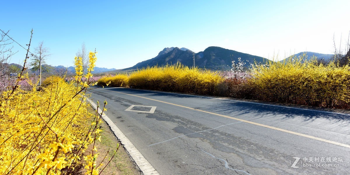 平谷“小景山”山看——桃花海